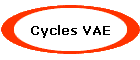 Cycles VAE